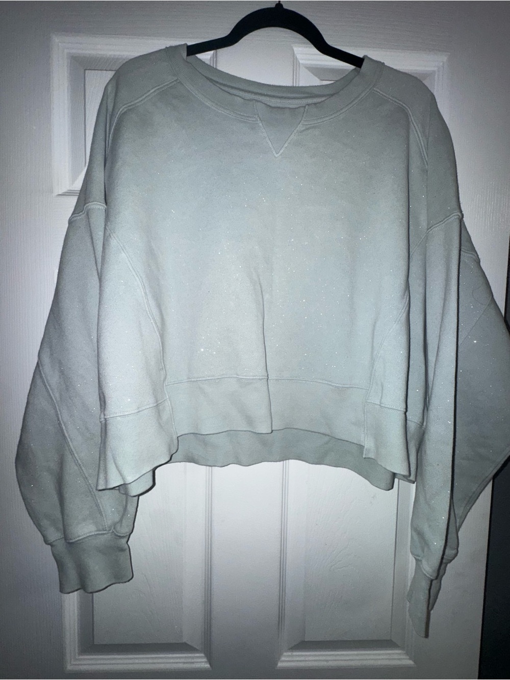 SO Cropped Crewneck Sweatshirt - Light Gray